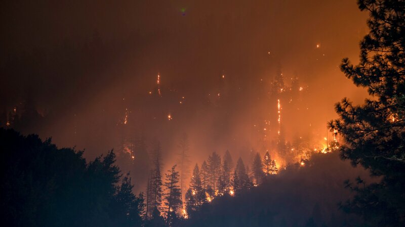 Fire burning through a forest