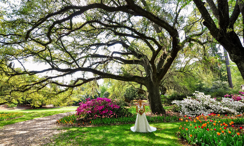 Light Shifter Studios photographs a Wedding at Airlie Gardens outdoor venue in Wilmington, North Carolina. 