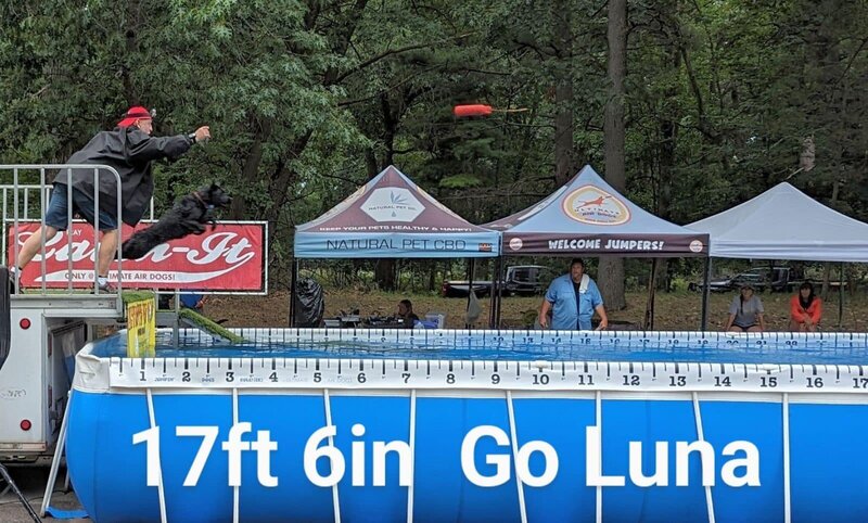 badriverlabradors_image-lunadockdiving