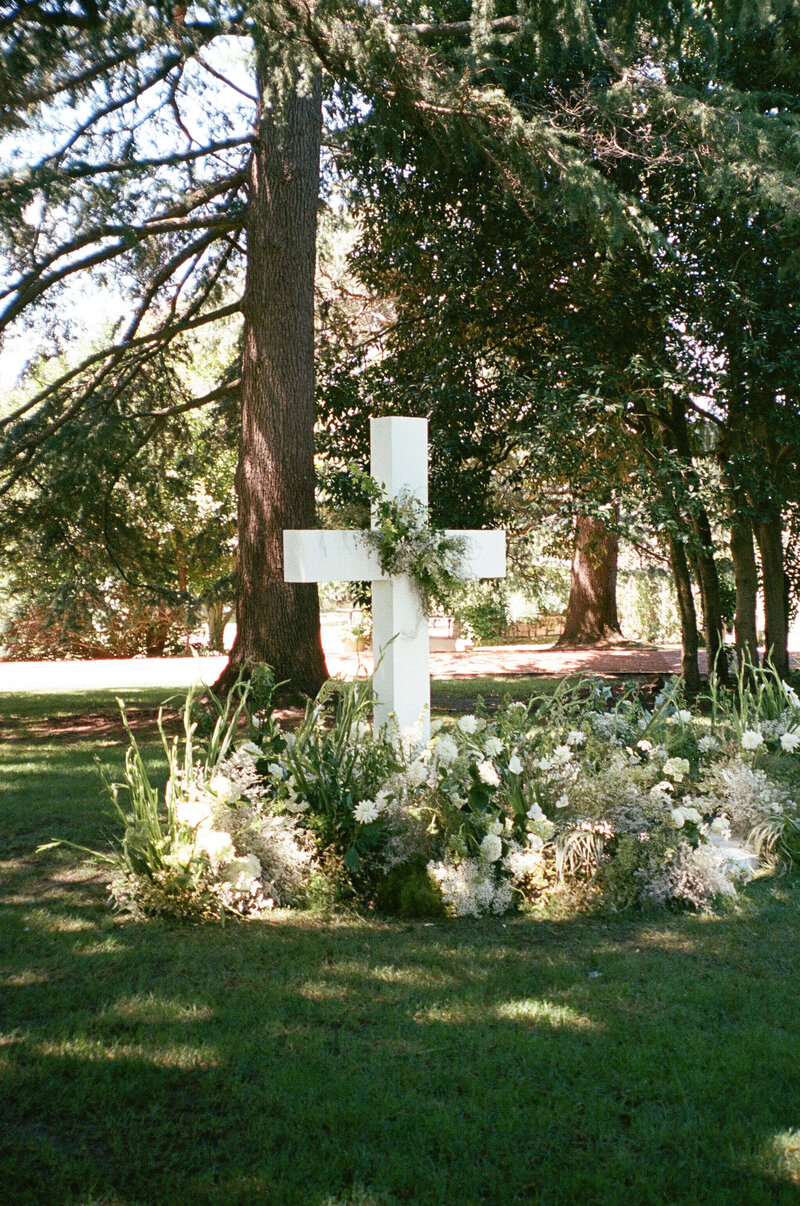A&M-Film-Novare-15
