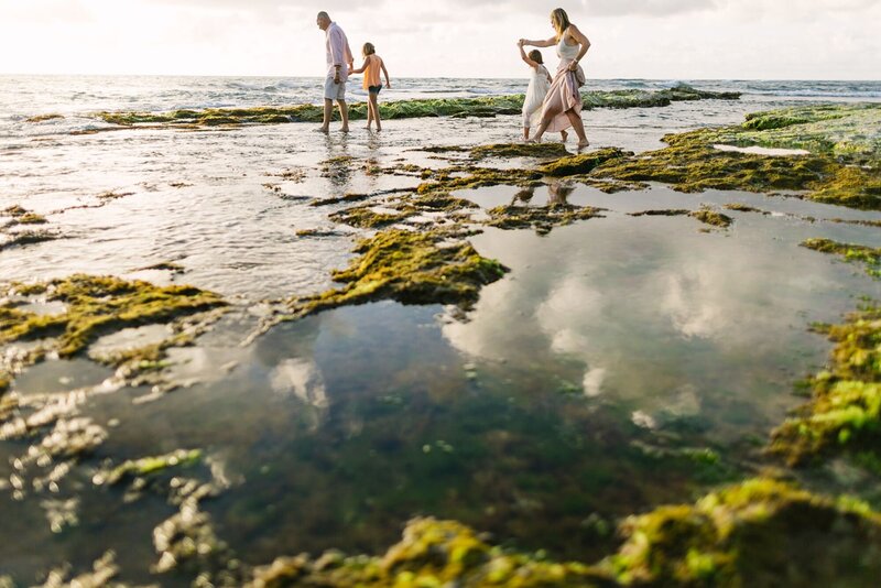 A family walks along the tide, pools of North shore, and sharks cove.