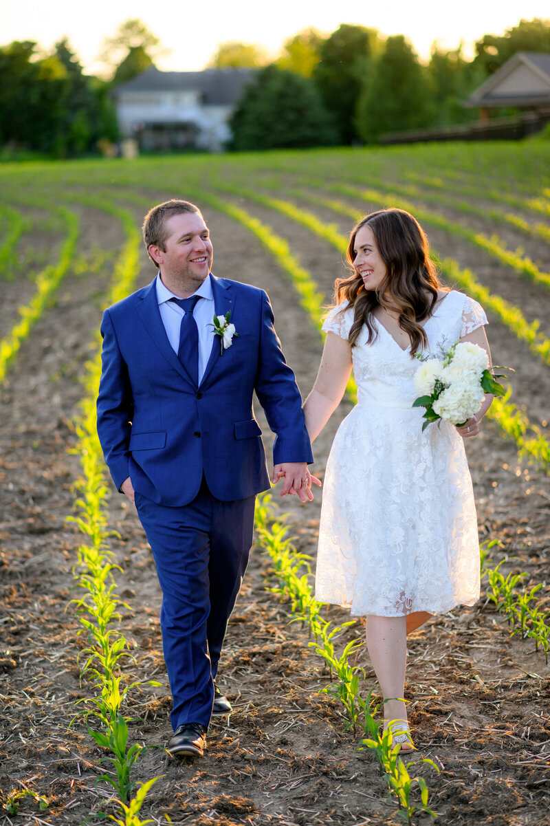 wedding couple walking in a farmers field holding hands in Heidelberg, Ontario.