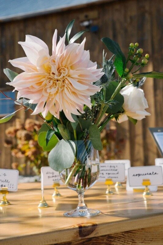 elle-and-jack-wedding-68212f5fd6 (10)