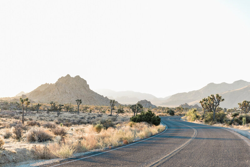 Sunrise at Joshua Tree National Park