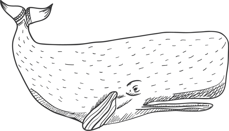 Walvis-zwart