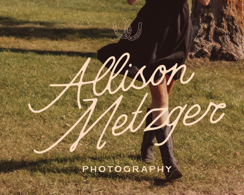 websiteportfolio_allisonmetzger-01