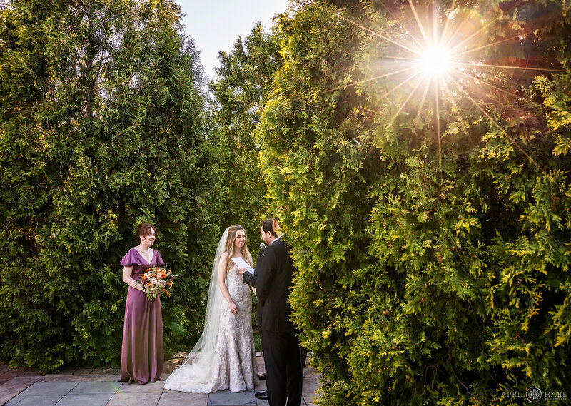 Couple get married on a bright sunny day in the Romantic Gardens at Denver Botanic Gardens