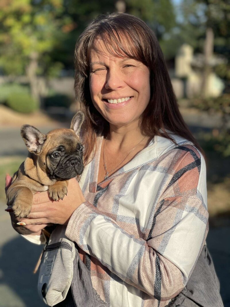 Handsome green collar frenchie puppy with a shiny red fawn coat and a classic frenchie smile