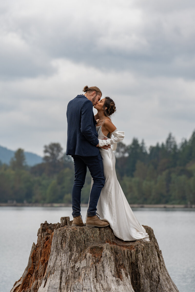 A newlywed couple kissing on a tree