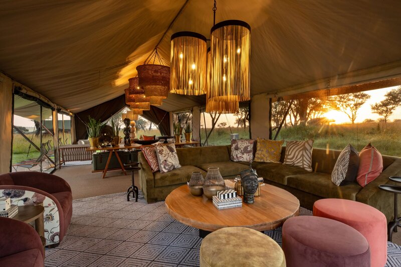 TAASA Migration Camp - Lounge Tent (7)