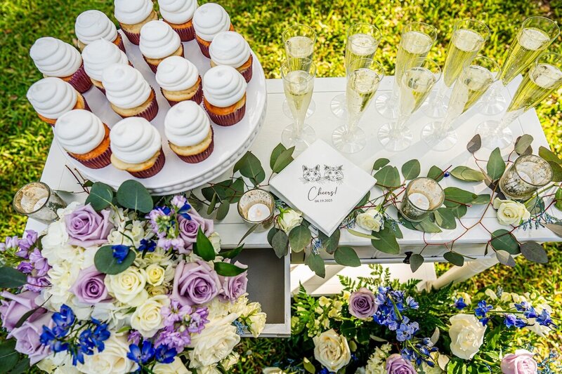 Del-Favero-Oasis-wedding-tampa-maddness-photography-06793