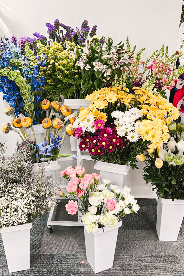 518087430_122119612898899158_4225707656323877584_n