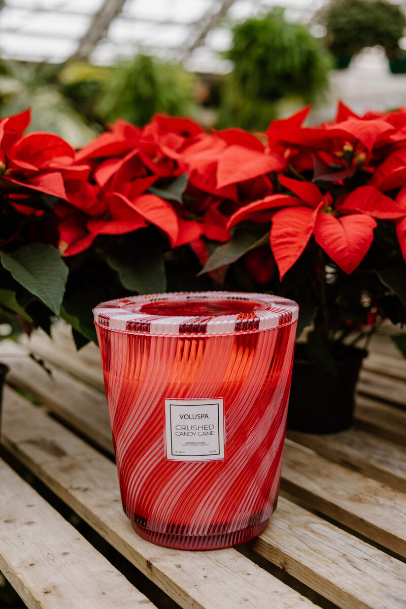 PetesGreenhouseAmarillo-003