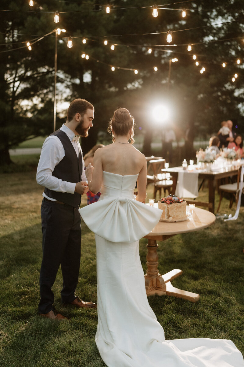 illinois chicago backyard intimate wedding northwest indiana photographer videographer film documentary lisle hyatt regency hotel charles-83