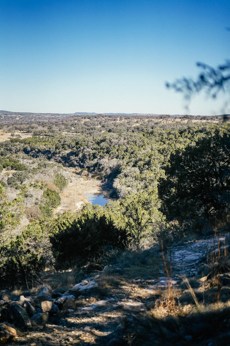 Landscape with creek and trees in Hill Country