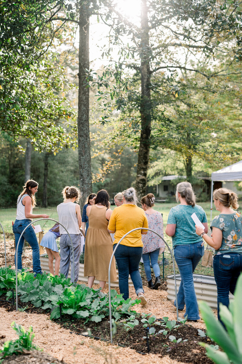 Herbal Tea Workshop at Tov Farm_108_2048px