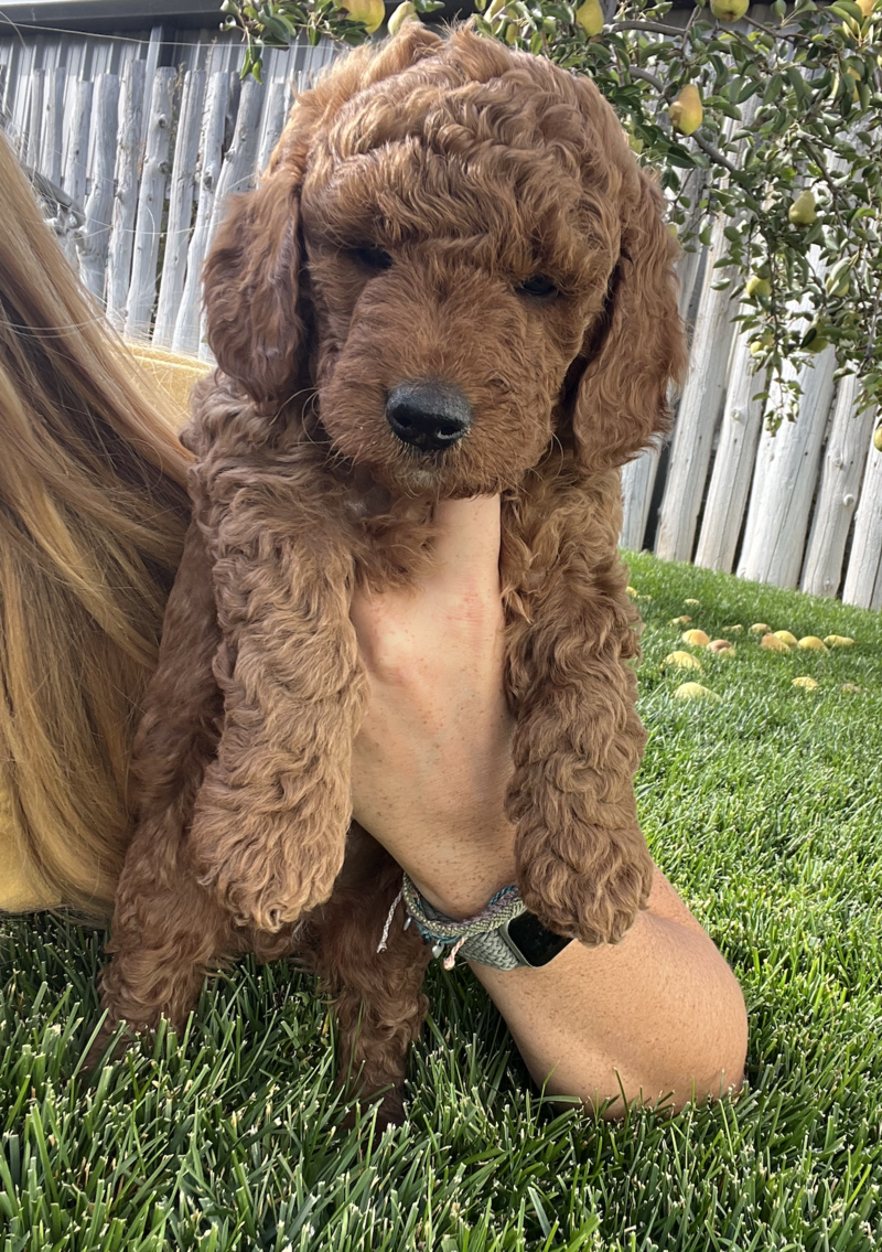 Screenshot 2024-09-24 at 6.31.23 AM