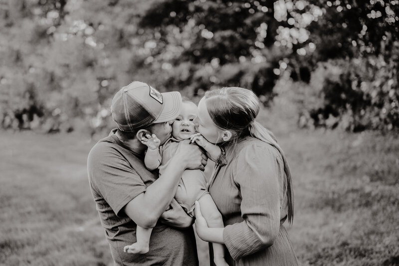 DP-family-7