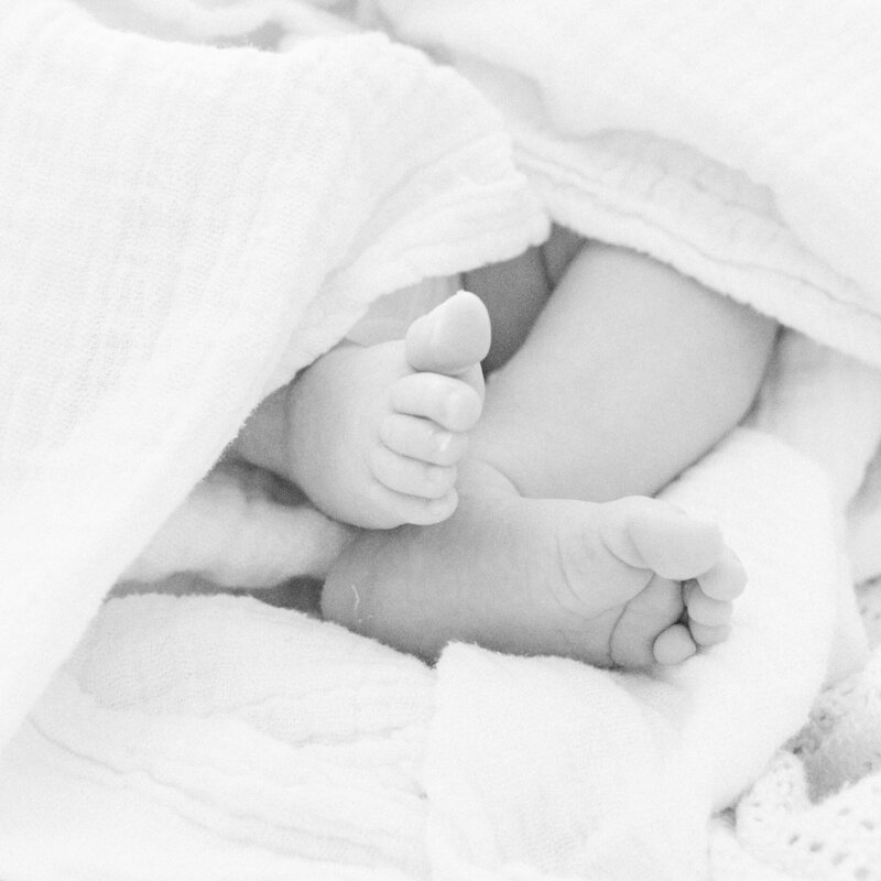 charlotte nc newborn photographer