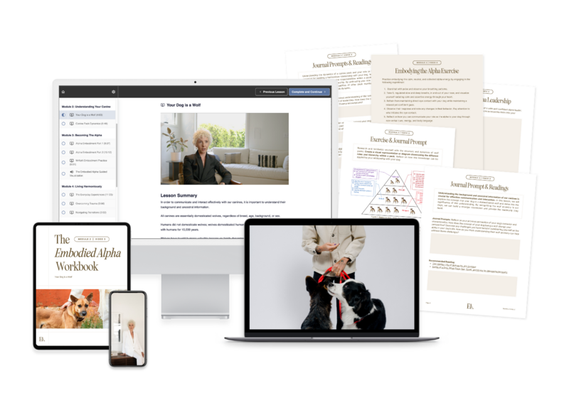 Mockup of Embodied Alpha course and instant downloads