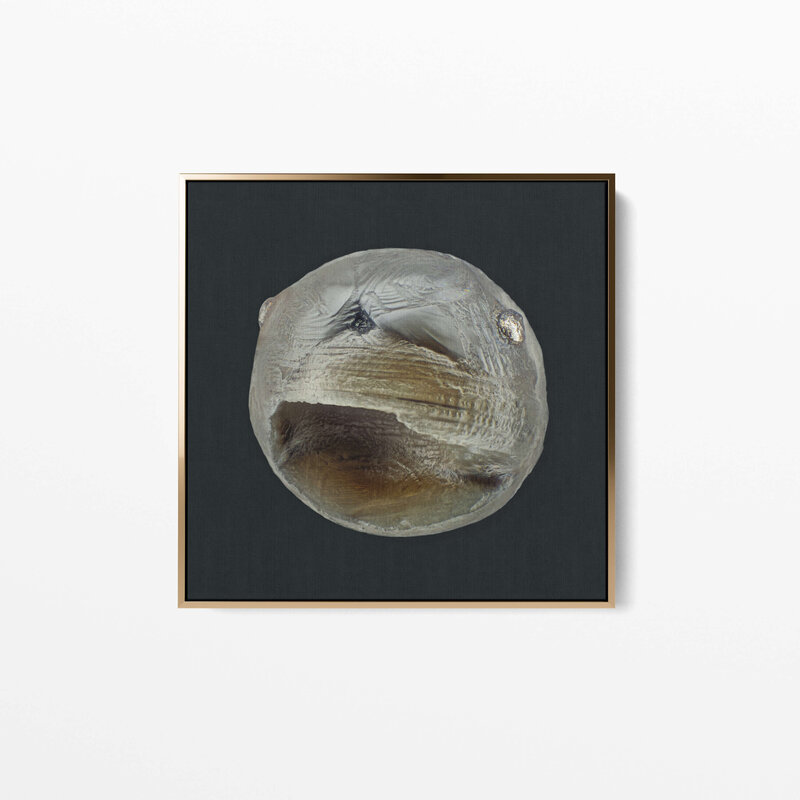 Fine Art Canvas with a gold frame featuring Project Stardust micrometeorite NMM 2365 collected and photographed by Jon Larsen and Jan Braly Kihle