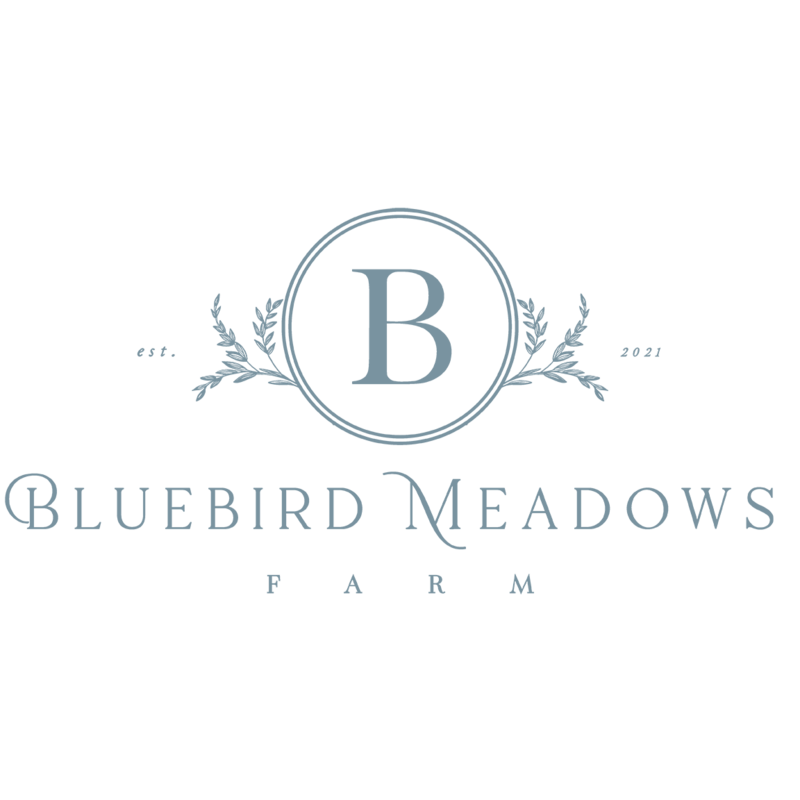 BMF_Main Logo_Blue