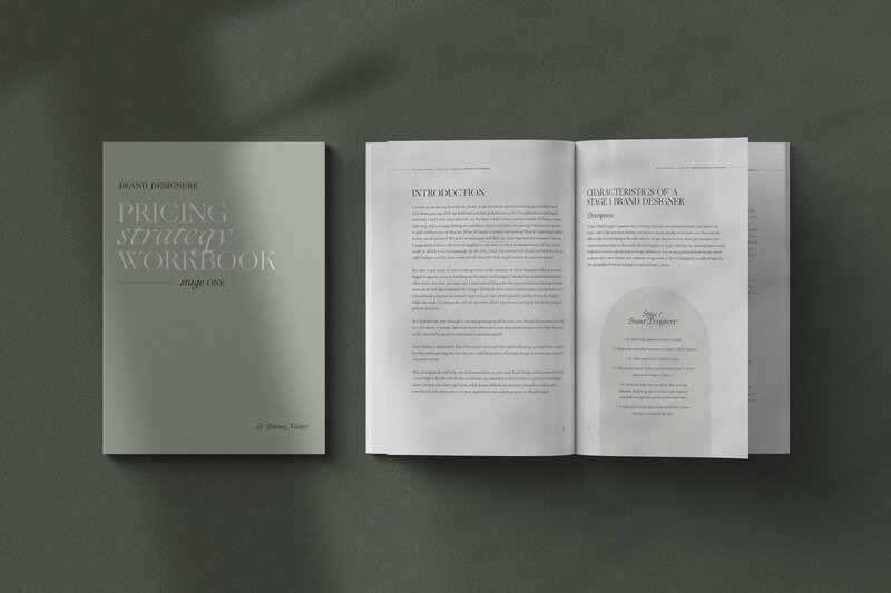 mock of the pricing strategy workbook, stage one. Muted green colors. book open