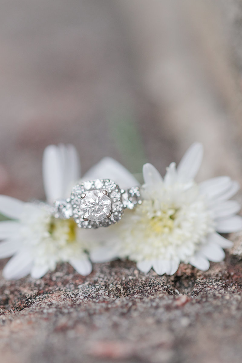 Jennifer B Photography-Downtown Southern Pines and Pinehurst Arboretum Engagement-Matthew & Amanda-2019-0091