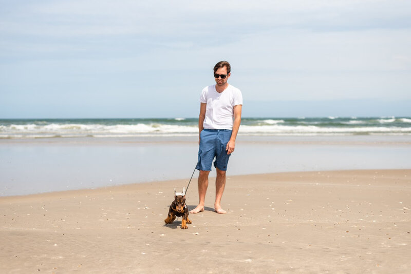 walking dog on the beach