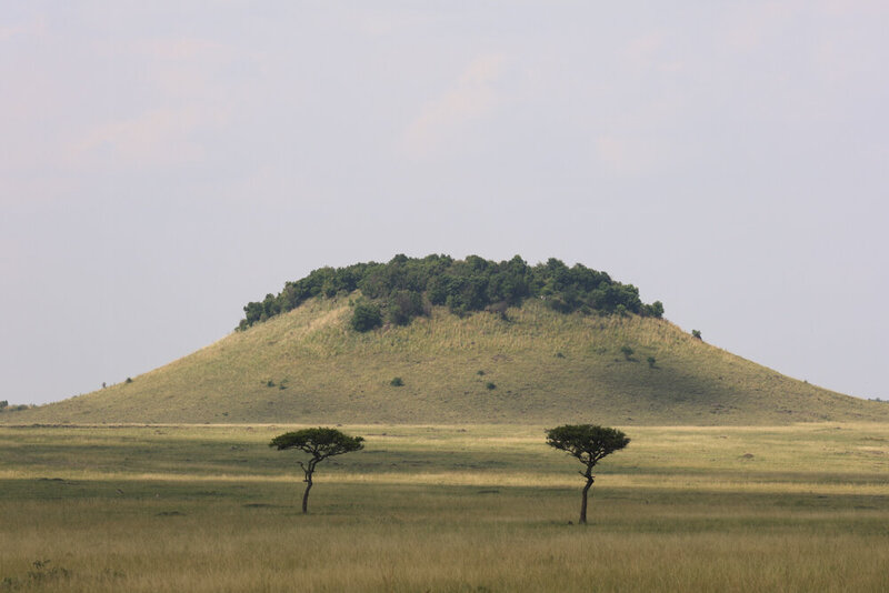 safariedited-408