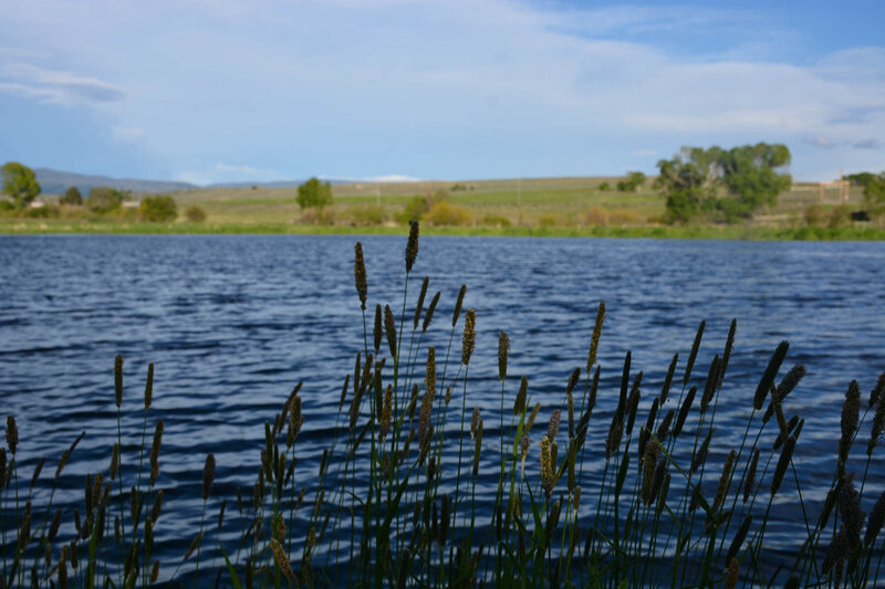 Private fishing in Saratoga, WY
