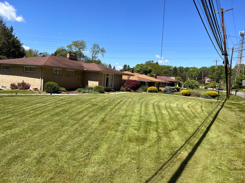 neigborhood groomed front lawn