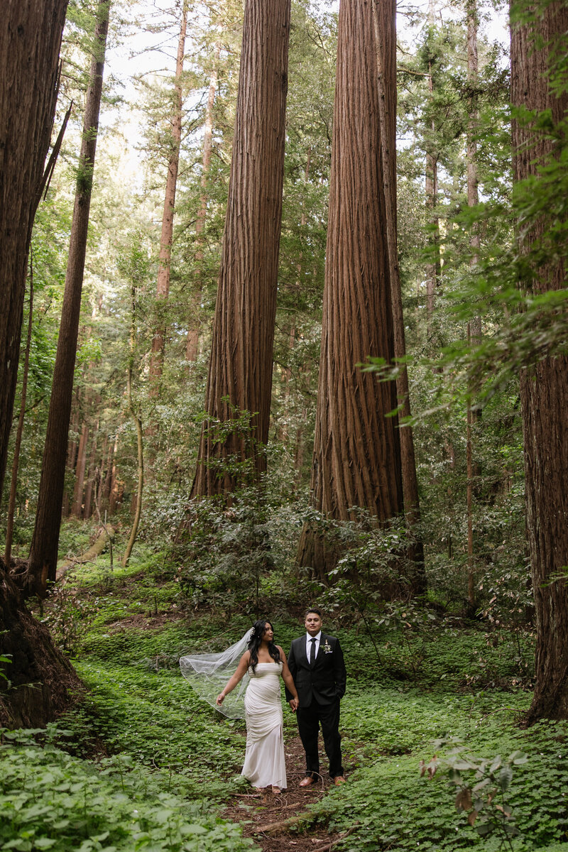 Santa Cruz Redwoods Elopement