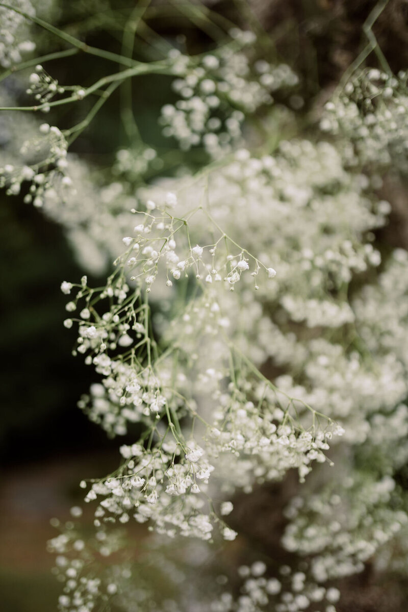 Shelby_Sam(209of843)