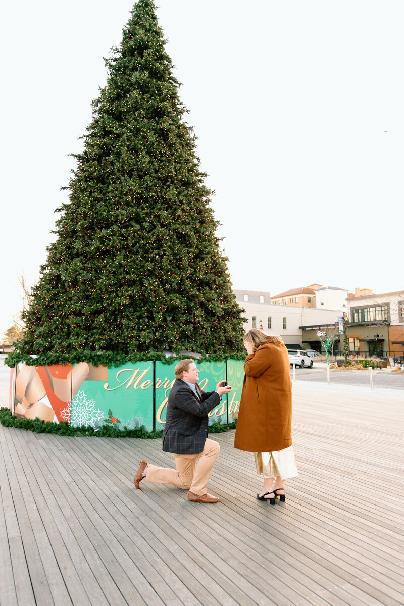 Proposal photos of man kneeling down and woman crying happy tears