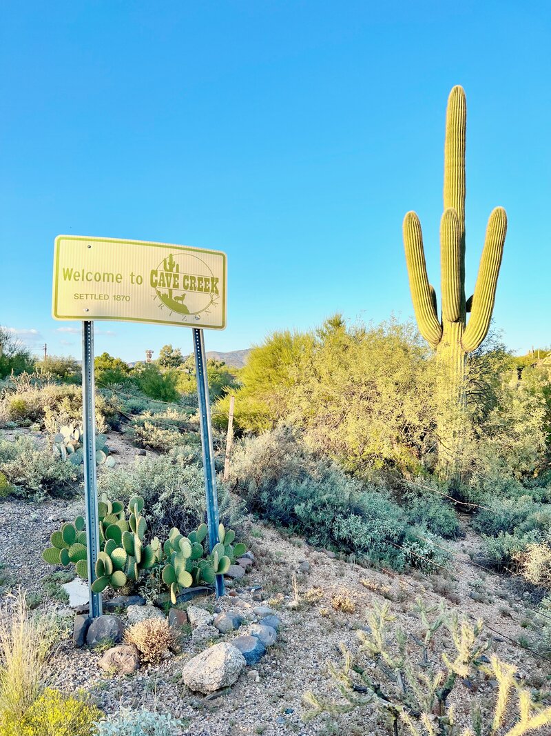 A sign in the Cave Creek desert that reads "Welcome to Cave Creek. Settled 1870." It is next to a large saguaro cactus.