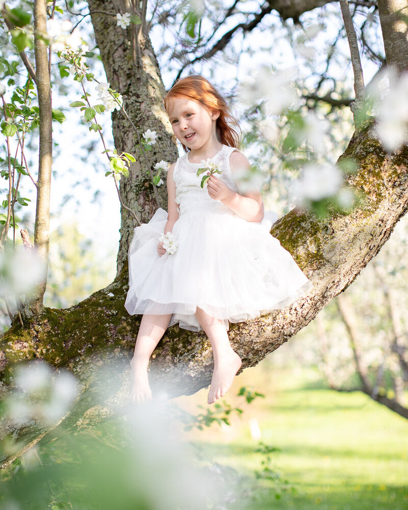 Child and Family Photographer Syracuse New York; BLOOM by Blush Wood (2 of 14)
