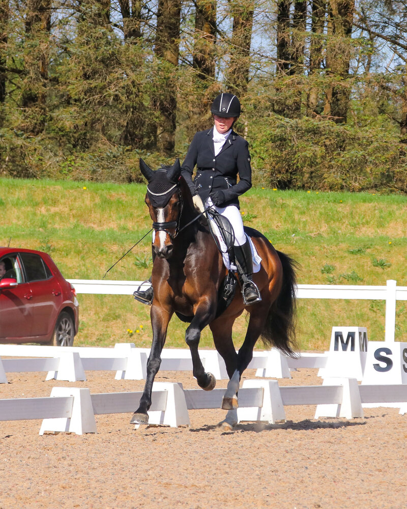 Aisling Deverell riding a bay dressage horse in canter in competition