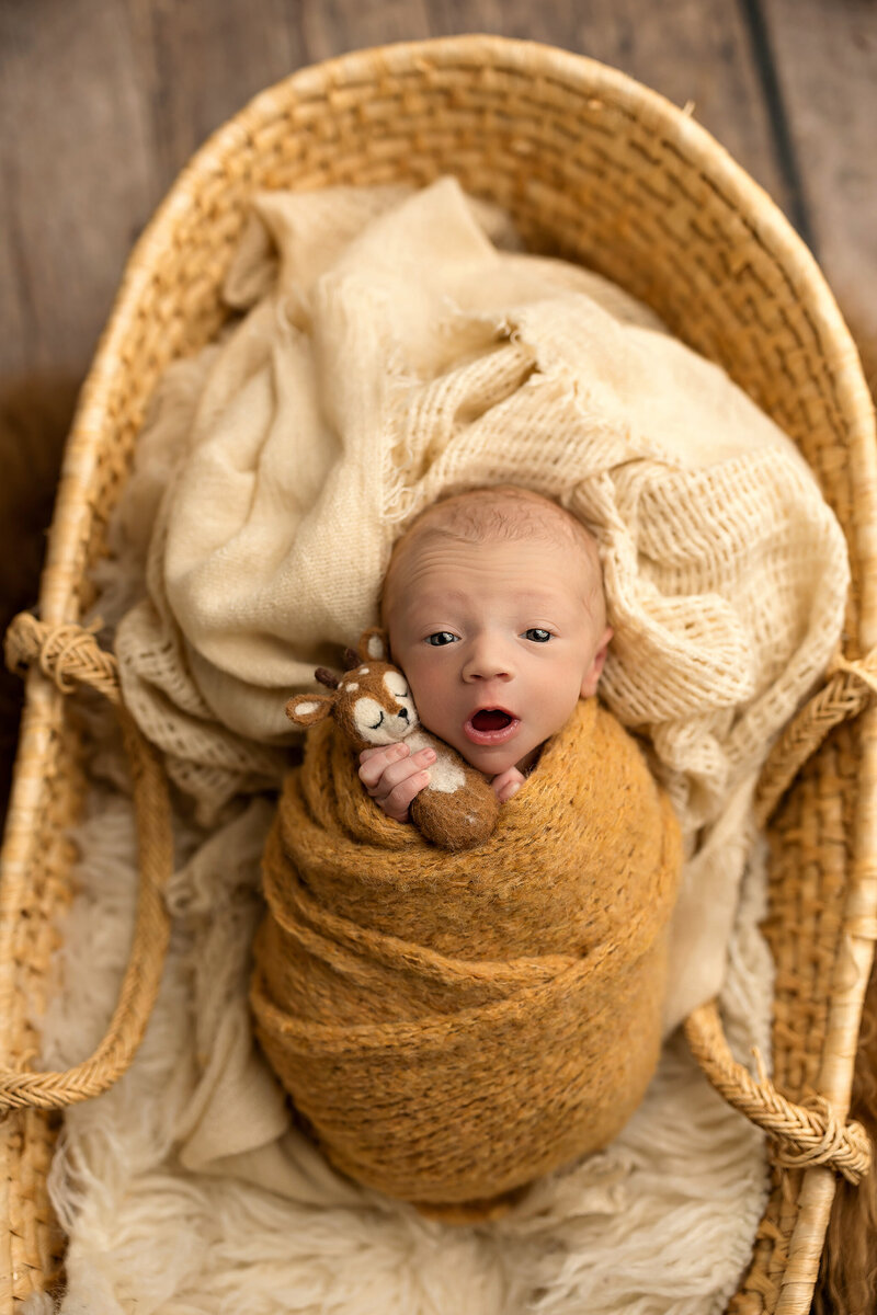 kalispell newborn and family photographer