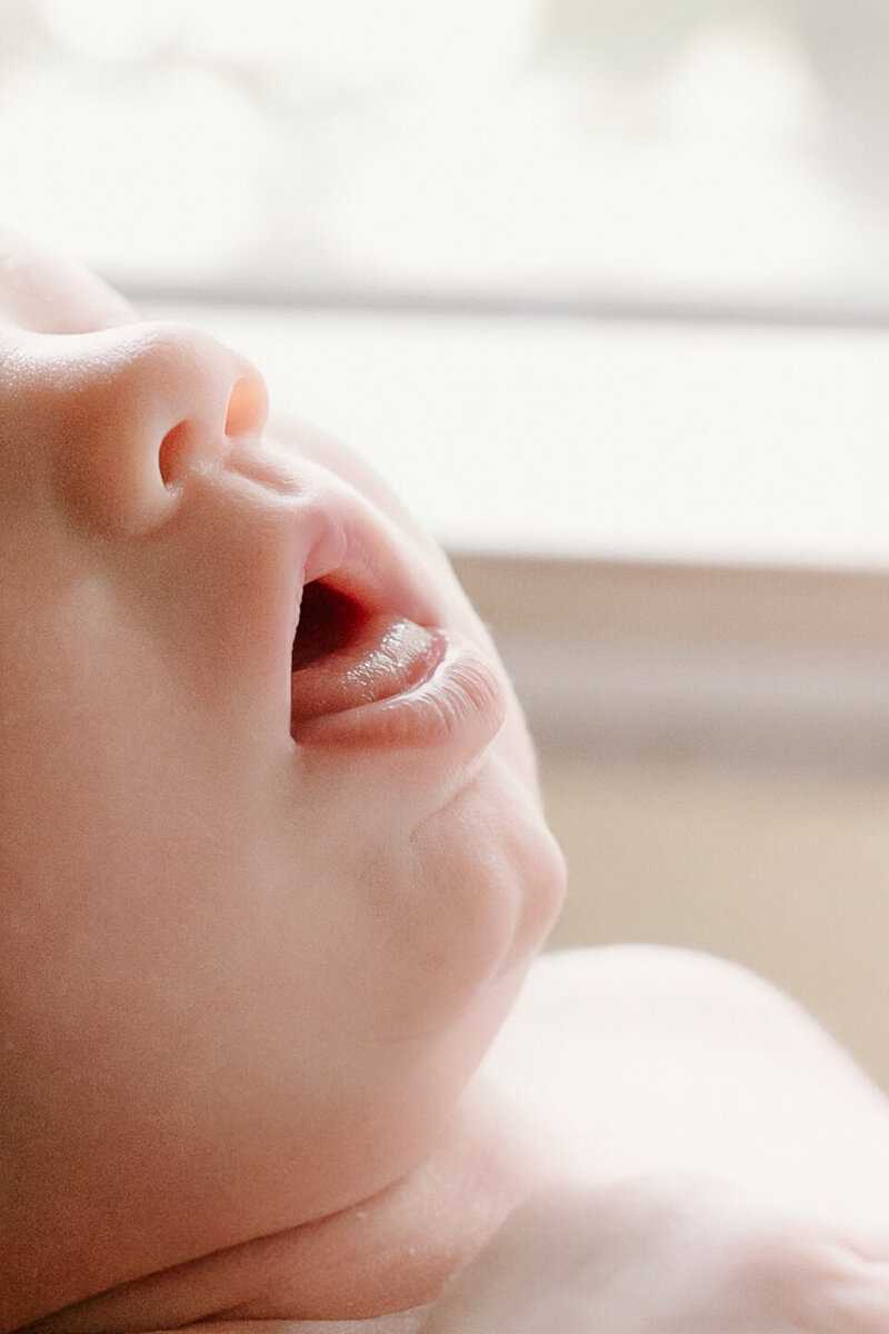 MichaelaHPhotographyNewbornPortlandOregonVancouverWashington-25