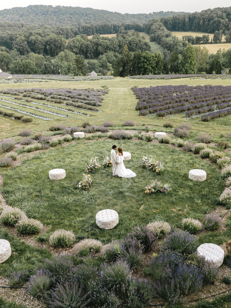 LavenderWorkshop_Emily-156