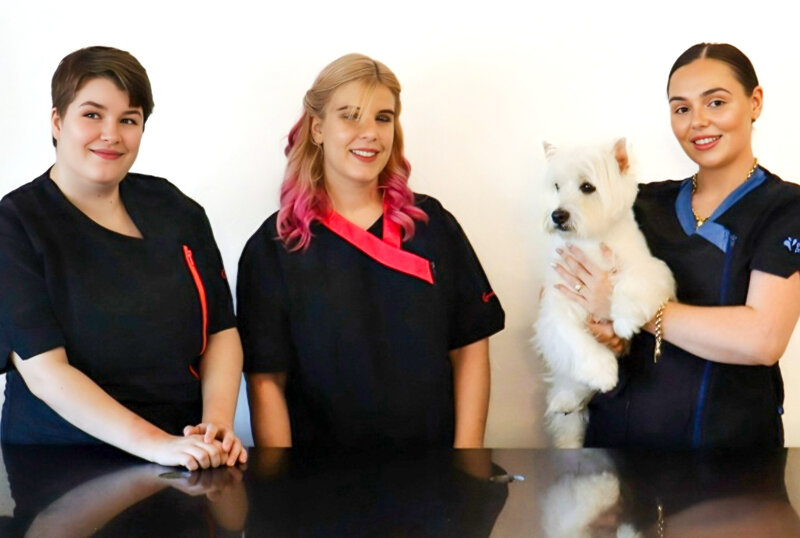 brisbane dog grooming and daycare bookings