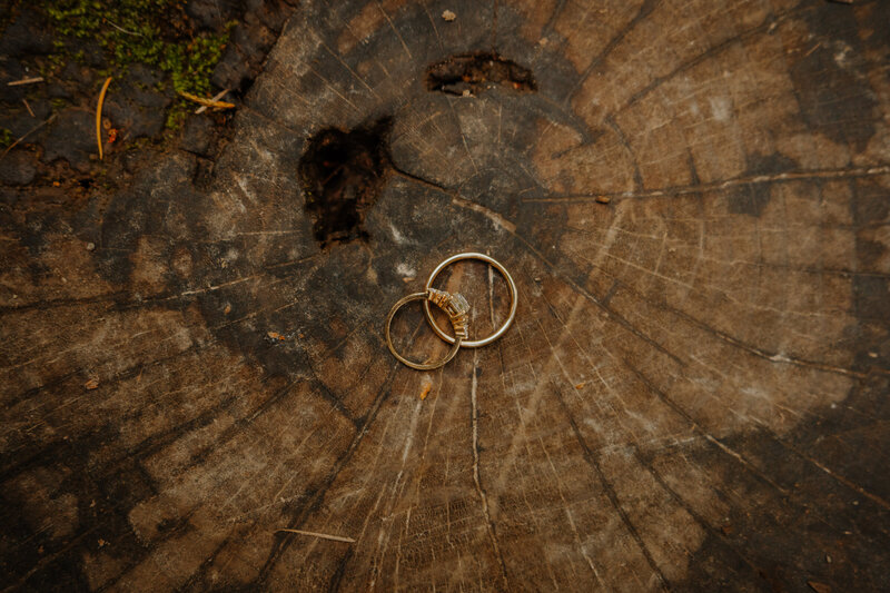 Two gold rings on a tree stump