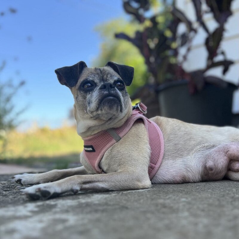 Coco (1)