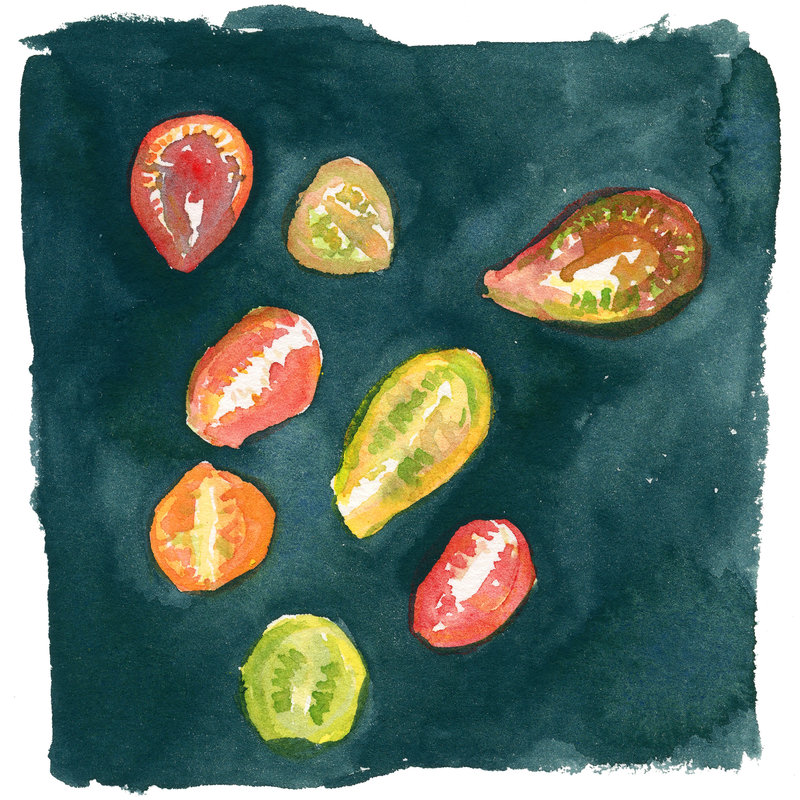 Lindsay Hine - tomatoes