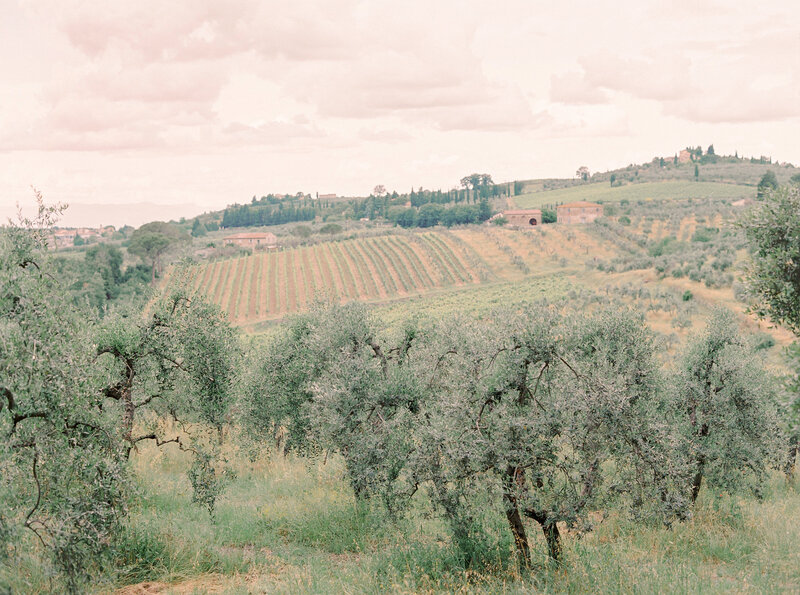 Tuscany-countryside-Stephanie-Brauer