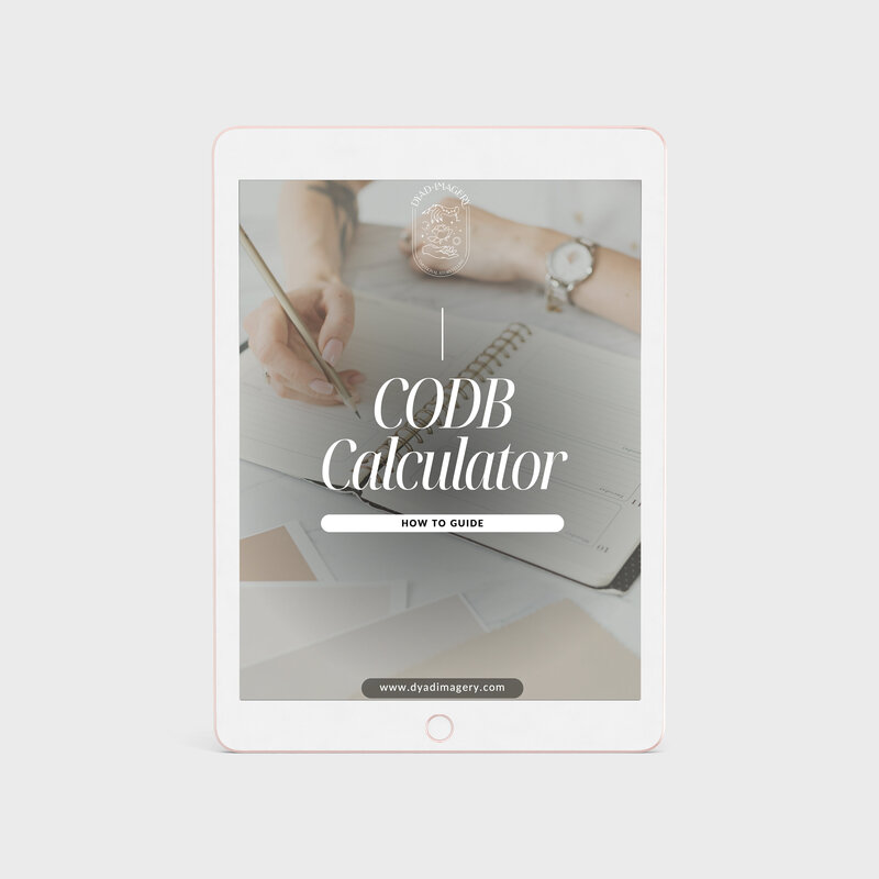 iPad Pro CODB Image