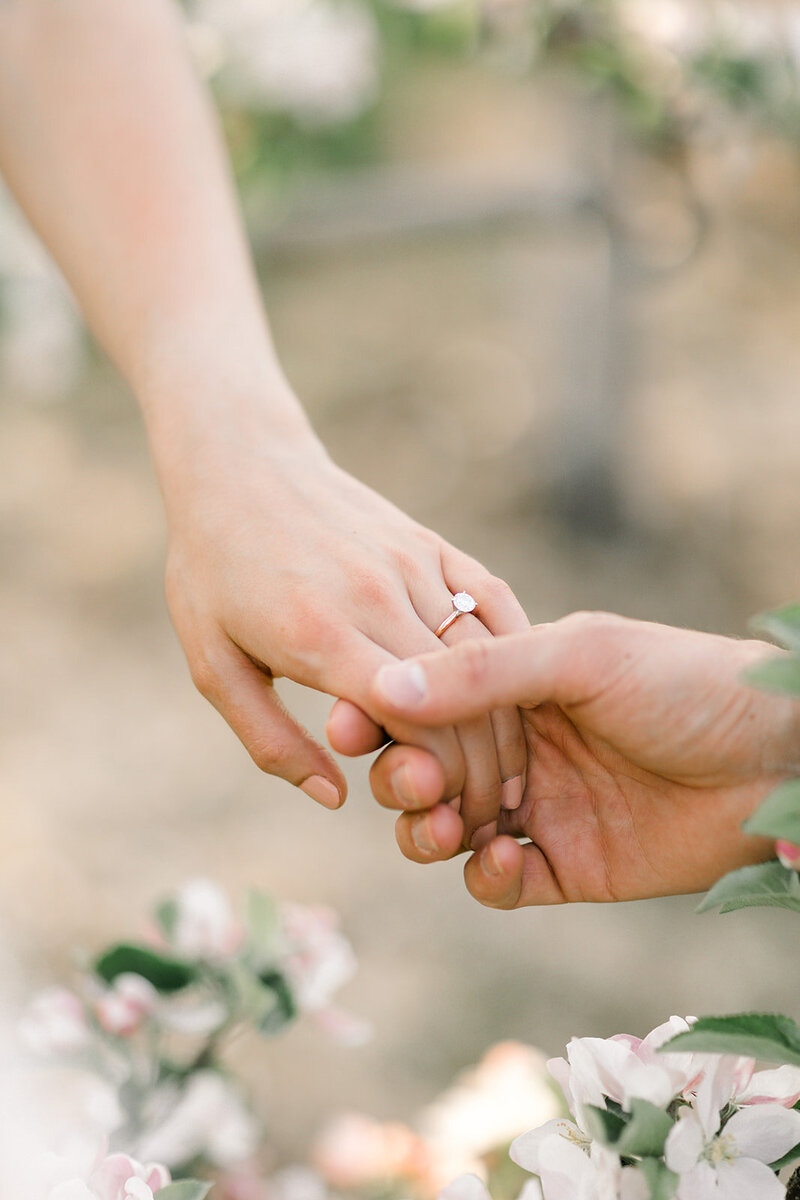 Terri-Lynn Warren Photography - Halifax Engagement Wedding Photographer Apple Blossoms-4098