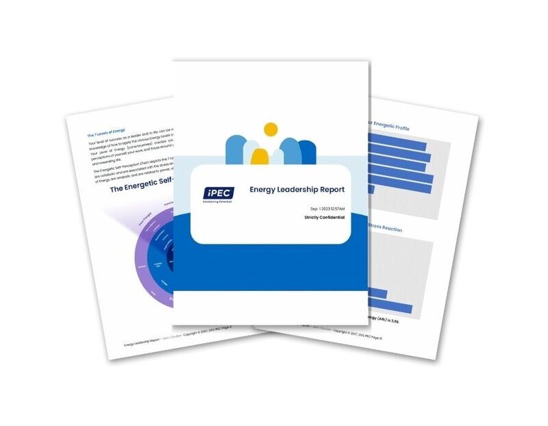 Energy Leadership Index assessment report documents and charts spread out showing ELI results and analysis pages.