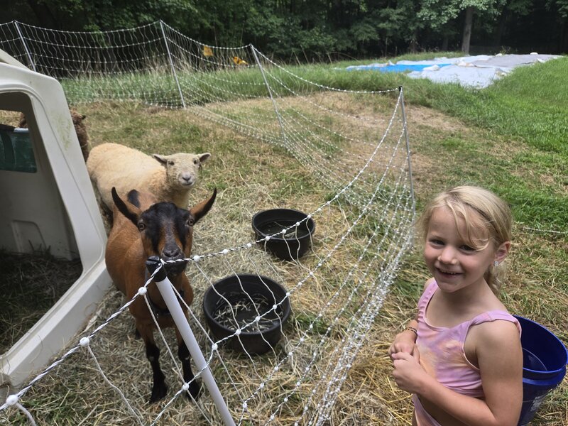 A smiling student with the goats and sheep at ROOTS
